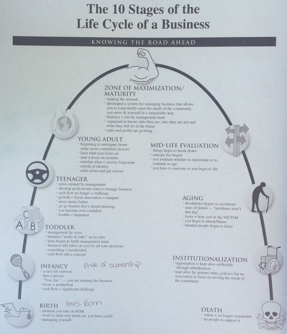 Life Cycle of a Business